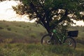 Bike left near tree with green and blooming nature around it. Countryside park, riding bikes, spending time healthy. Royalty Free Stock Photo