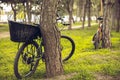 Bike left near tree with green and blooming nature around it. Countryside park, riding bikes, spending time healthy. Royalty Free Stock Photo