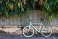 Bike and old fence corrugated iron with leaves, which as the background. Royalty Free Stock Photo