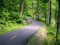 Bike Path Royalty Free Stock Photo