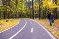 Bike path in the autumn forest Royalty Free Stock Photo