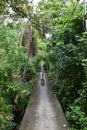 Bike path in Bang Kachao Royalty Free Stock Photo