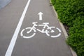 a bicycle painted on the asphalt. the direction of cycling