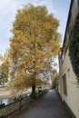 Bike path at Castano Primo along the canal Villoresi Royalty Free Stock Photo