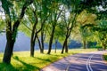 Bike path in the city park in the early morning in summer Royalty Free Stock Photo