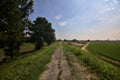 Bike path on an enbankment bordered by a row of cypresses in the italian countryside in summer Royalty Free Stock Photo