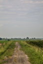 Bike path on an enbankment in the middle of the fields in the italian countryside in summer Royalty Free Stock Photo