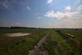 Bike path on an enbankment in the middle of the fields in the italian countryside in summer Royalty Free Stock Photo