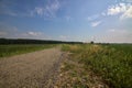 Bike path on an enbankment in the middle of the fields in the italian countryside in summer Royalty Free Stock Photo