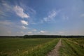 Bike path on an enbankment in the middle of the fields in the italian countryside in summer Royalty Free Stock Photo