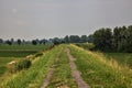 Bike path on an enbankment in the middle of the fields in the italian countryside in summer Royalty Free Stock Photo