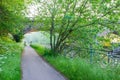 Bike path next to the river Royalty Free Stock Photo