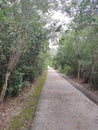 Bike Pathway through the mangroves in the Florida Keys Royalty Free Stock Photo