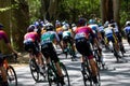 Bike Race `Tour de Hongrie` - 2022