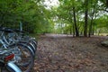 A bike rack filled with white bikes on a hiking trail filled with fallen autumn leaves surrounded by lush green trees