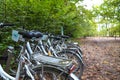 A bike rack filled with white bikes on a hiking trail filled with fallen autumn leaves surrounded by lush green trees