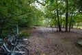 A bike rack filled with white bikes on a hiking trail filled with fallen autumn leaves surrounded by lush green trees