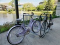 Bike rack in use with bikes Royalty Free Stock Photo