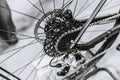 Bike rear gear chain disc brake and derailleur