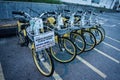 Bike Rental in front of Birch Memorial Clock Tower