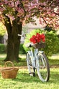 Bike rental shops primarily serve typically travellers and tourists. Vintage fancy bike blooming garden background. Rent