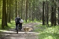 Bike ride in the forest. Outdoor recreation on bicycles