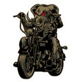 Bike Ride Motorcycle Head Elephant