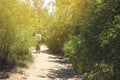 A bike ride in the park. One cyclist with a backpack rides on the road