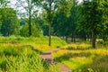 Bike road through beautiful nature scenery, the Melanen, Halsteren, Bergen op zoom, The netherlands