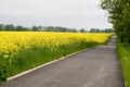 Bike road near yellow field