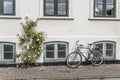 Bike and rose  flowers on sidewalk in front of traditional house, Helsingor, Denmark Royalty Free Stock Photo