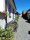 Bike and roses in Visby town, in Gotland