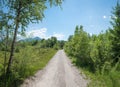 Bike route through riparian zone of isar river. Bavarian landscape near Bad Tolz