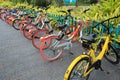 Bike sharing in china Royalty Free Stock Photo