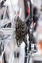 Bike speed changing assembly. Rear wheel. Steel bicycle chain. Transmission gears close-up Royalty Free Stock Photo