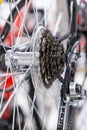 Bike speed changing assembly. Rear wheel. Steel bicycle chain. Transmission gears close-up Royalty Free Stock Photo