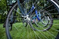 Bike spokes