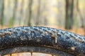 Bike tire in the mud. Mud sticks to a bicycle wheel after cycling. Selective focus Royalty Free Stock Photo