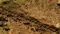 Bike tire tracks left in fresh mud Royalty Free Stock Photo
