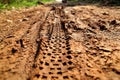 Bike tire tracks on muddy trail royalty. Tire tracks on wet muddy road, abstract background, texture material. Royalty Free Stock Photo