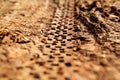 Bike tire tracks on muddy trail royalty. Tire tracks on wet muddy road, abstract background, texture material. Royalty Free Stock Photo