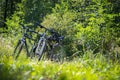 Bike tour. Bike, grass and wood. Outdoors, text space Royalty Free Stock Photo