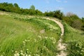 Bike track trail bends tilted jumps in meadow trail enduro meadow downhill racing enduro bicycle sport mountain summer alpen