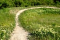 Bike track trail bends tilted jumps in meadow trail enduro meadow downhill racing enduro bicycle sport mountain summer alpen Royalty Free Stock Photo