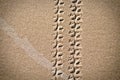 Bike tracks in the sand