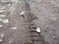 Bike, tractor, excavator, car, automotive tire tracks on muddy trail. Mud and wheel trace on road after rain. Royalty Free Stock Photo