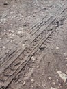 Bike, tractor, excavator, car, automotive tire tracks on muddy trail. Mud and wheel trace on road after rain. Royalty Free Stock Photo