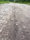 Bike, tractor, excavator, car, automotive tire tracks on muddy trail. Mud and wheel trace on road after rain. Royalty Free Stock Photo