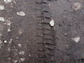 Bike, tractor, excavator, car, automotive tire tracks on muddy trail. Mud and wheel trace on road after rain. Royalty Free Stock Photo