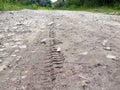 Bike, tractor, excavator, car, automotive tire tracks on muddy trail. Mud and wheel trace on road after rain. Royalty Free Stock Photo